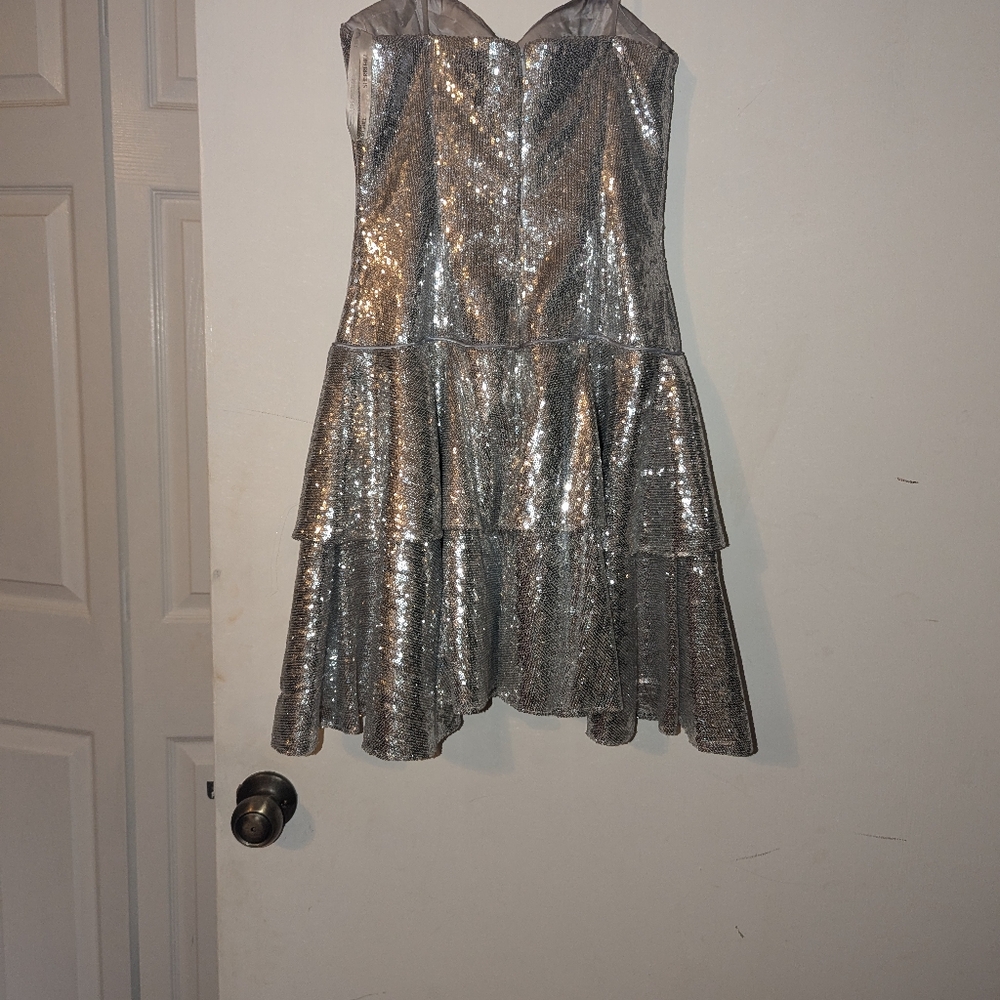 Sherry Hill silver 6 alter to 4 drop waist dress